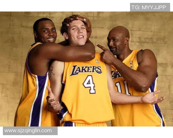 现役篮球与足球明星全方位名单及其精彩表现分析