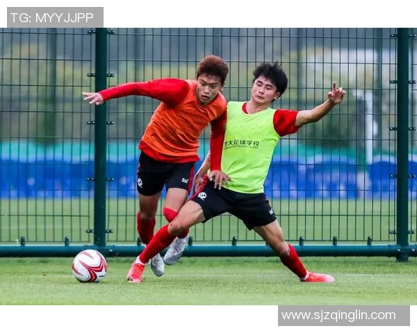 丰县足球明星队全新阵容揭晓队员名单及个人亮点分析