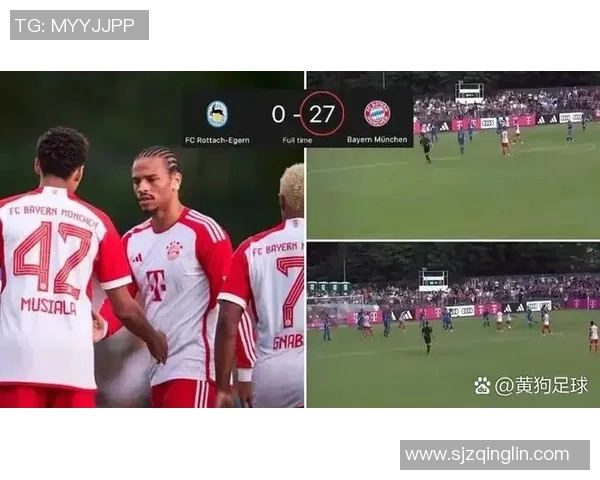 大黄狗足球明星的名字背后隐藏着怎样的故事与传奇